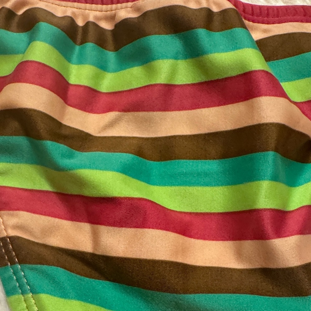 VIX Striped Multicolor Bikini - Picture 9 of 11